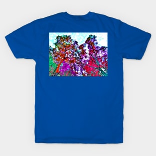 Fall Trees T-Shirt